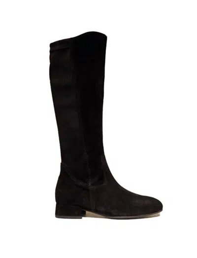 Gabor Women's Suede Tall Boots In Black Schwartz