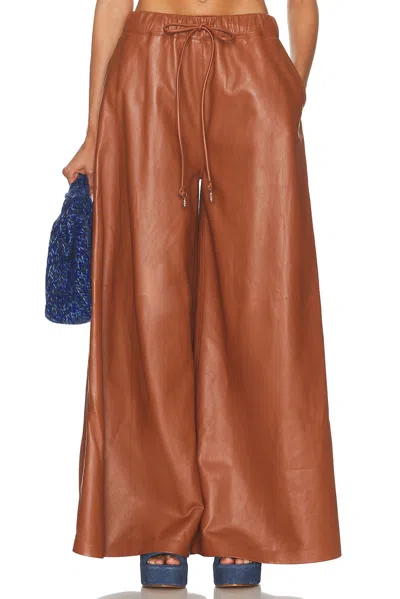 Gabriela Hearst Gelos Pant In Brown