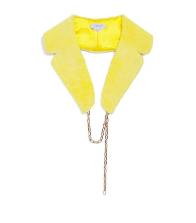 Gabriela Hearst Lambskin Demeter Coat Collar In Yellow