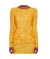 Gabriela Hearst Long Sleeve Sweater In Yellow
