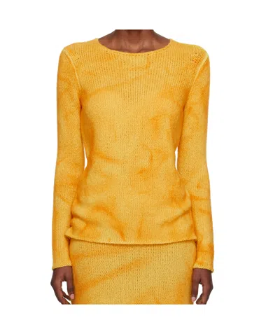 Gabriela Hearst Long Sleeve Sweater In Yellow