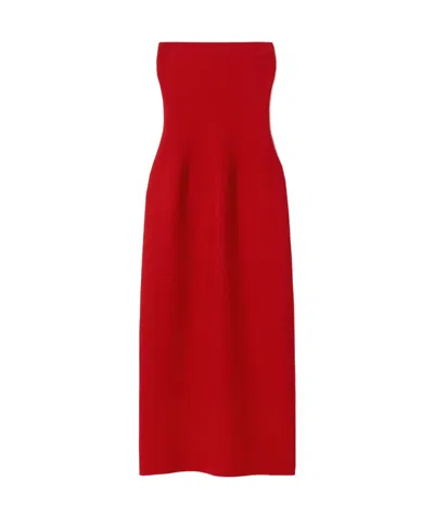 Gabriela Hearst Tube Top Dress In Red