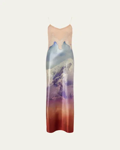 Gabriela Hearst Womens Mountain X Paul Smith Adolphine Silk Maxi Dress In Animal Print