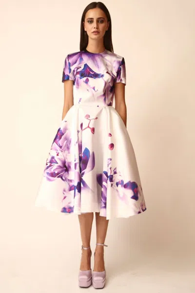 Gabriele Fiorucci Bucciarelli Short Sleeve Floral Dress In Multi