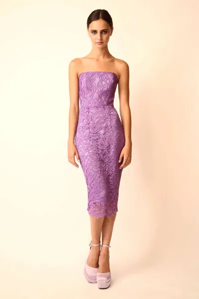 Gabriele Fiorucci Bucciarelli Strapless Lace Dress In Multi