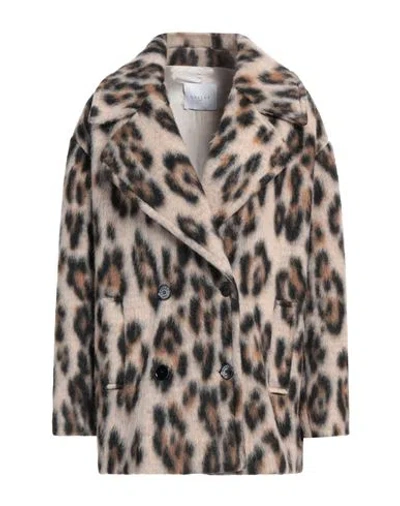 Gaelle Paris Gaëlle Paris Woman Coat Beige Size 4 Polyester, Virgin Wool In Brown