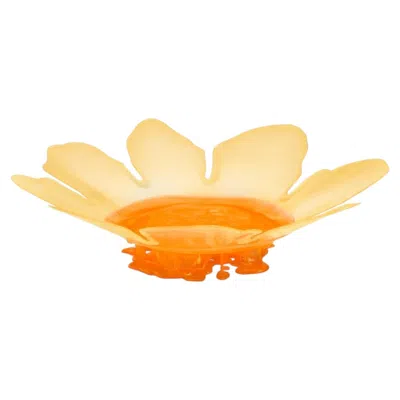 Pre-owned Gaetano Pesce Edizioni Del Pesce Meritalia Flower Vase Large - Storage Basket By  In Orange