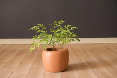 Pre-owned Gainey Pottery Mid Century Modern California Terra Cotta Planter Pot By Gainey Ceramics In Black
