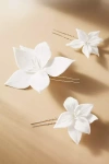 Gaios Clara Silk Flower Hair Pins, Set Of 4 In White