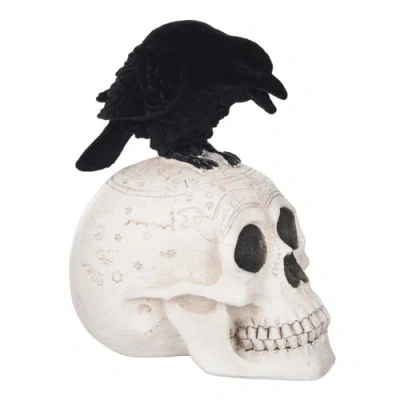 Gallerie Ii Skeleton Skull & Crow Decorative Halloween 8.5" Figurine In White