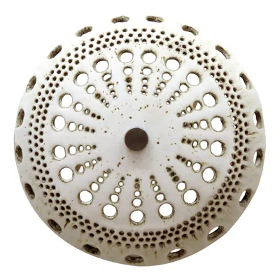 Pre-owned Gallery L7 Ceramic Wall Light No.5010 By Heather Levine In Transparent