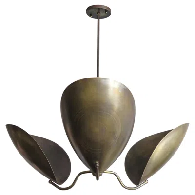 Pre-owned Gallery L7 Handcrafted Chiton-3 Chandelier By  In Black