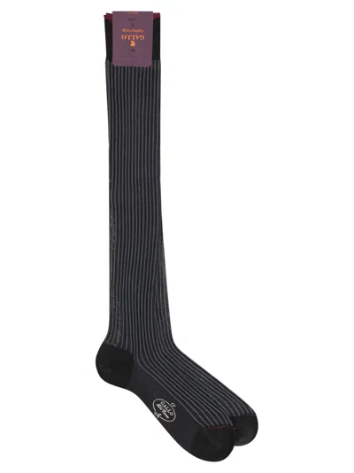 Gallo Cotton Long Socks In Black