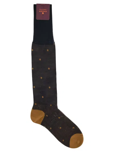 Gallo Polka Dot Cotton Long Socks In Brown