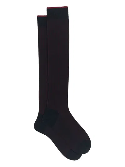 Gallo Ribbed Knee-high Socks In Blue