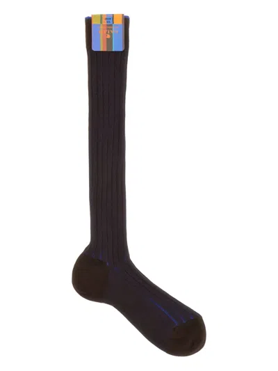 Gallo Ribbed Socks In Brown