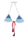 Gallo Striped Tassel-detail Beachwear In Multi