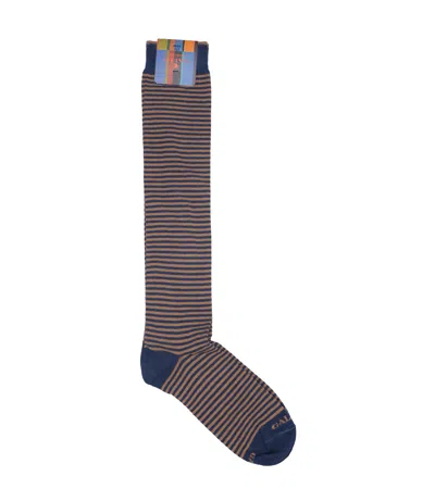 Gallo Underwear In Brown