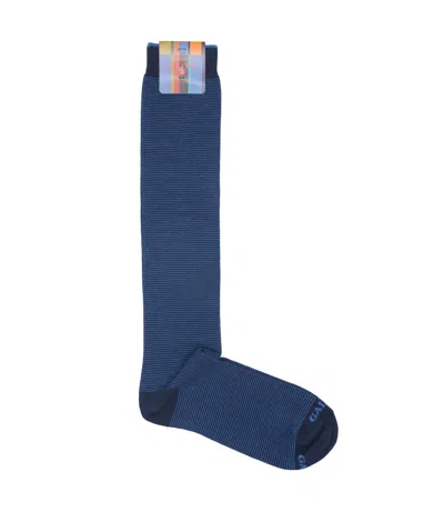 Gallo Underwear Royal Blue+blue