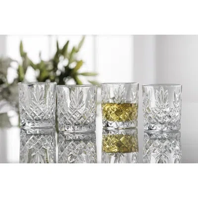 Galway Crystal Ren More D.o.f Tumbler Set Of 4 In Clear