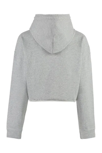 Ganni Cotton Hoodie In Grey