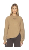 Ganni Future Essentials Washed Effect Long Sleeve Pullover In Brown