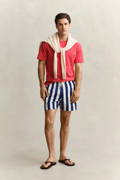 Gant Block Striped Swim Shorts In Multi