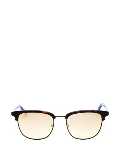 Gant Browline Sunglasses In Brown