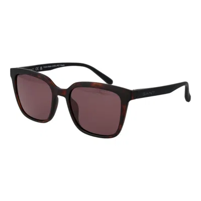 Gant Brown Stainless Steel Sunglasses In Black