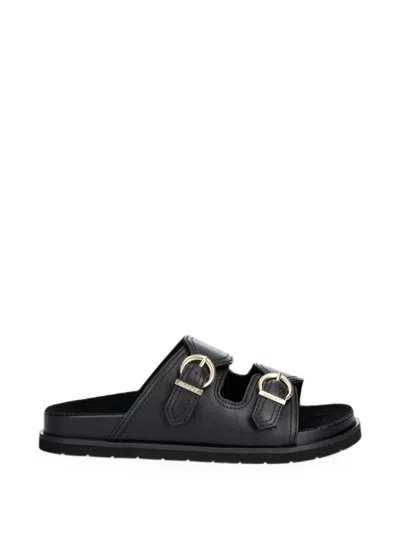 Gant Buckle-detail Slides In Black