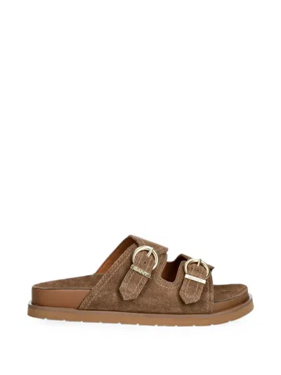 Gant Buckle-detail Slides In Brown