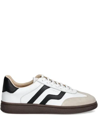 Gant Cuzmo Suede Sneakers In Multi