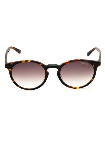 Gant Ga7110 Sunglasses In Coloured Havana  / Violet Gradient