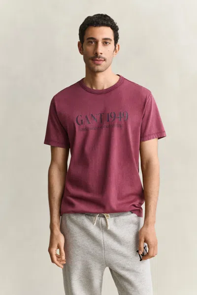 Gant Graphic T-shirt In Deep Grape Wine