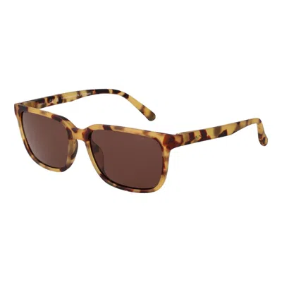Gant Multicolor Plastic Sunglasses In Brown