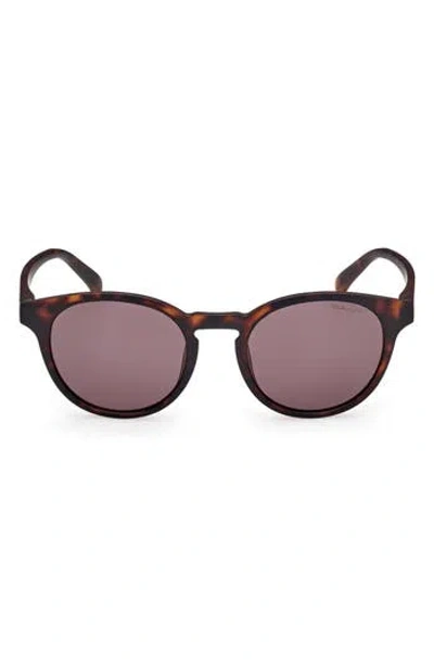 Gant Oval Sunglasses In Transparent