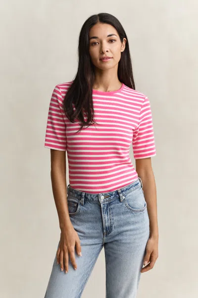 Gant Striped Rib T-shirt In Pink