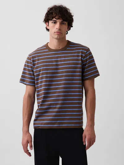 Gap Adult Heavyweight Relaxed T-shirt In Brown Stripe