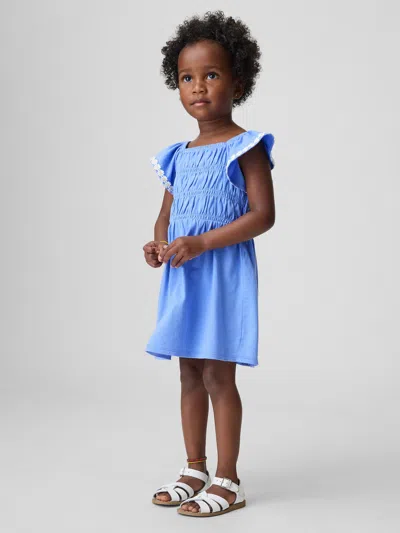Gap Baby & Toddler Smocked Flutter-sleeve Dress In Blue
