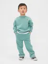 Gap Baby & Toddler Vintagesoft Washed Sweat Set