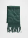 Gap Brushed Fringe Scarf In Green