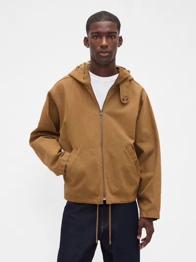 Gap Canvas Hooded Jacket In Brown