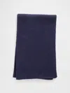 Gap Cashsoft Scarf In Blue