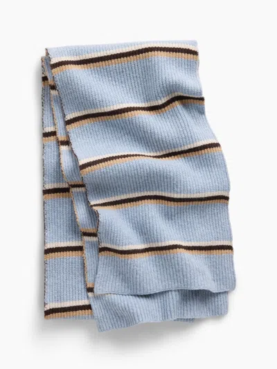 Gap Cashsoft Scarf In Blue