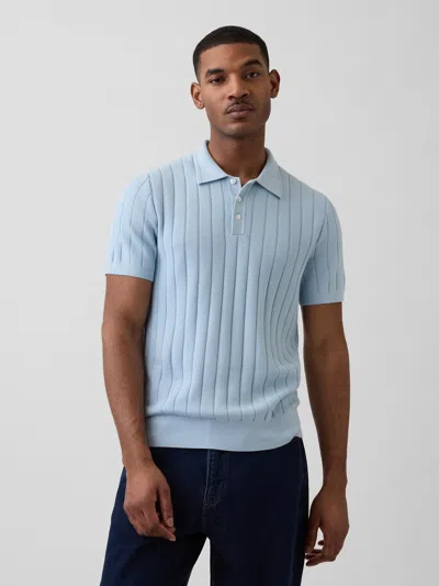 Gap Classic Polo Shirt Sweater In Blue
