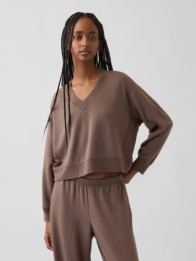 Gap Cloudlight Oversized Sweatshirt In Toasted Almond Brown