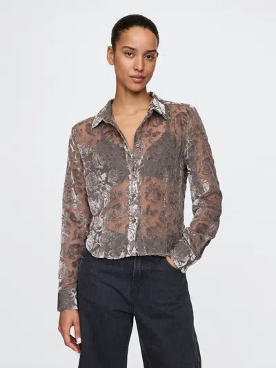 Gap Cropped Velvet Shirt In Brown Floral