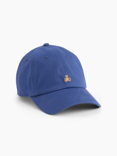 Gap Factory Brannan Bear Baseball Hat In Blue Track