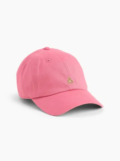 Gap Factory Brannan Bear Baseball Hat In Pink Raspberry