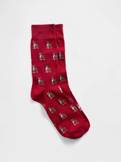 Gap Factory Dress Socks In Brown